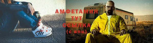 индика Абаза