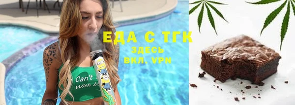 индика Абаза