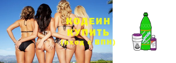 индика Абаза