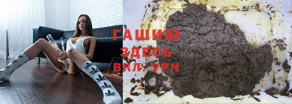 индика Абаза