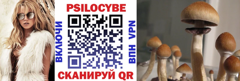 Галлюциногенные грибы Cubensis  купить  сайты  Заволжье 