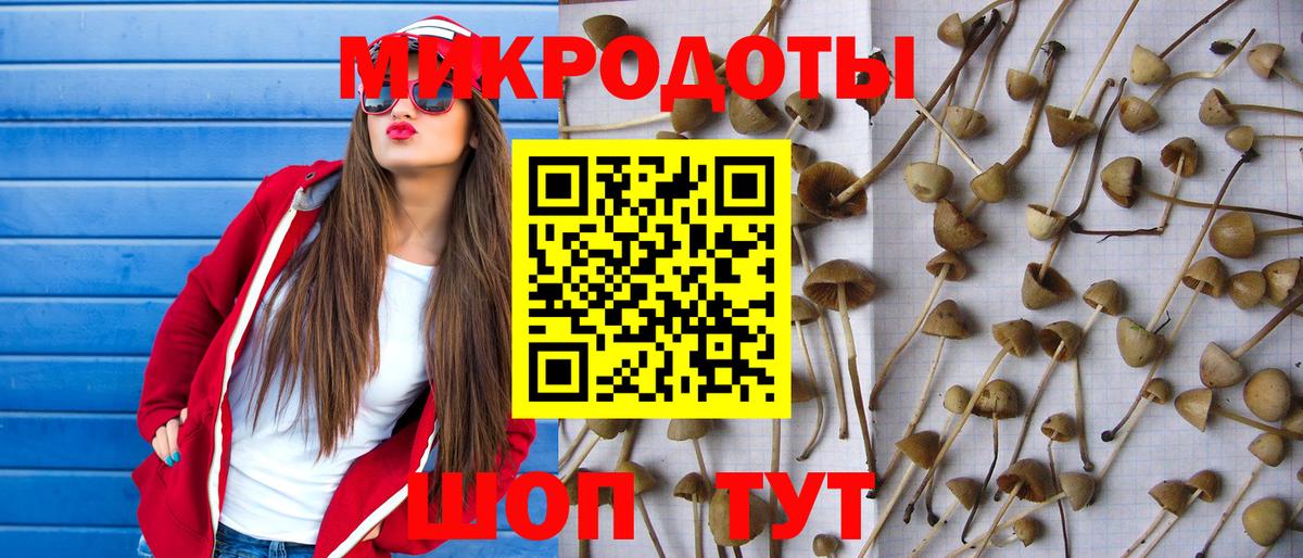 Галлюциногенные грибы Cubensis Заволжье