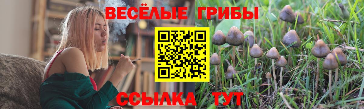 Псилоцибиновые грибы мицелий  Вход с VPN  Псилоцибиновые грибы Psilocybine cubensis  Заволжье 