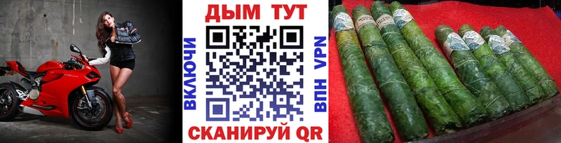 Конопля Amnesia  Заволжье 